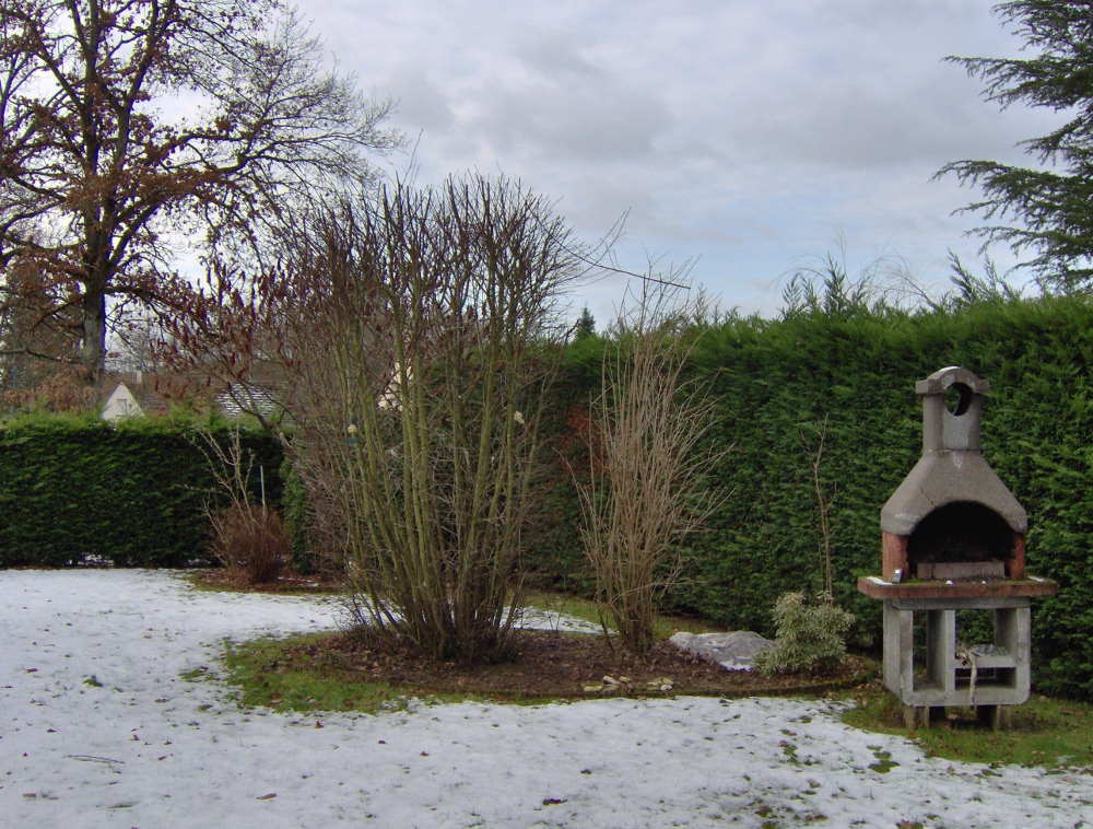 Le terrain